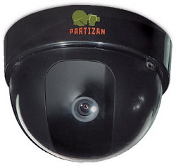partizan