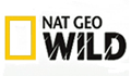 nat geo wild